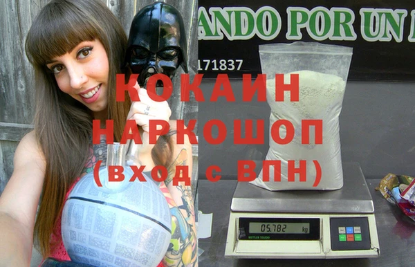 a pvp Новодвинск
