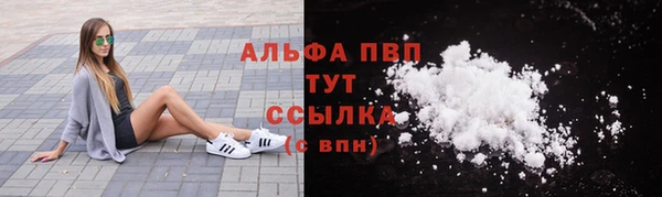 дмт Новокубанск