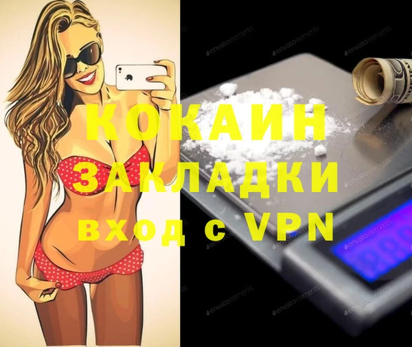 эйфоретик Няндома