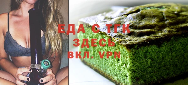 эйфоретик Няндома