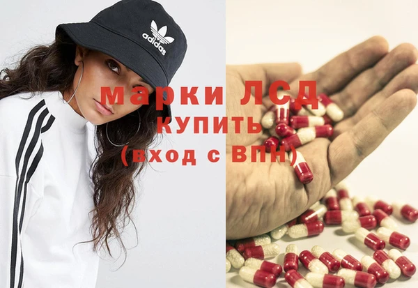 a pvp Новодвинск