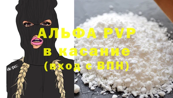 эйфоретик Няндома